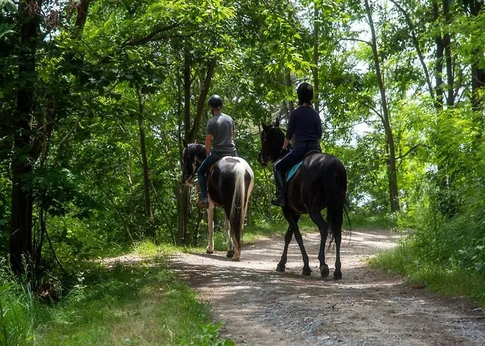 Centralissimo Con Vista Sulla Citta Л'Акуила